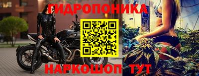 СК Будённовск