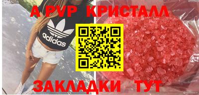 СК Будённовск